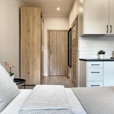 Be In - In The Heart Of The Old Town - Sw. Ducha 53/55 公寓 格但斯克